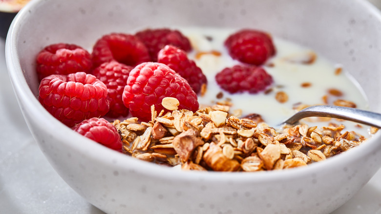 Granola aux fruits dans un bol de yaourt