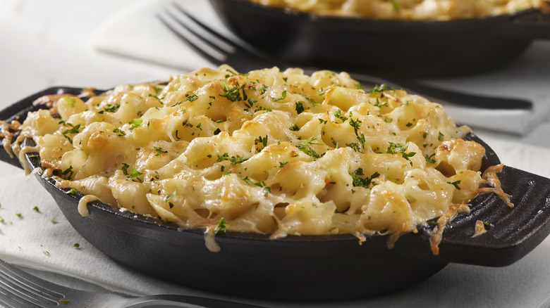 macaroni au fromage cuit au four 