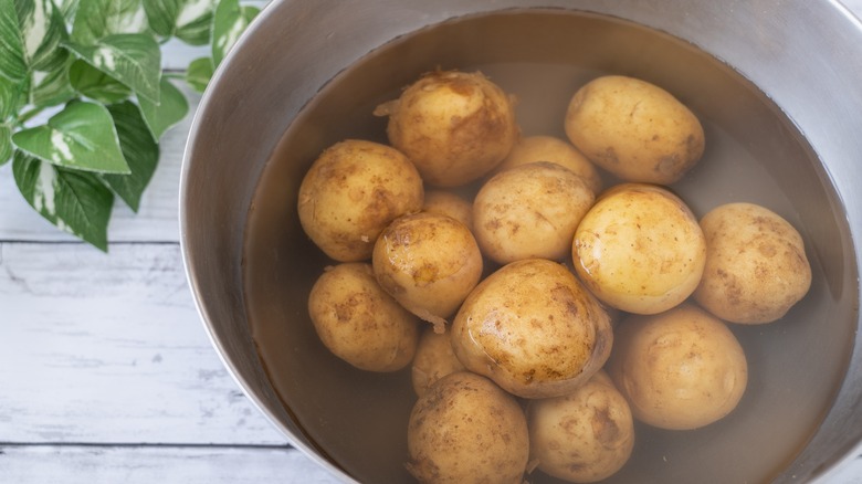 Pommes de terre immergées dans le liquide dans un bol