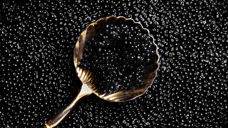 Caviar noir à la cuillère dorée