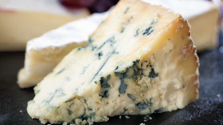 Morceau de fromage bleu