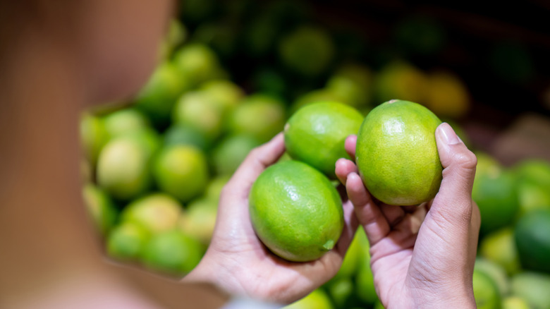 Mains de femme tenant des citrons verts 