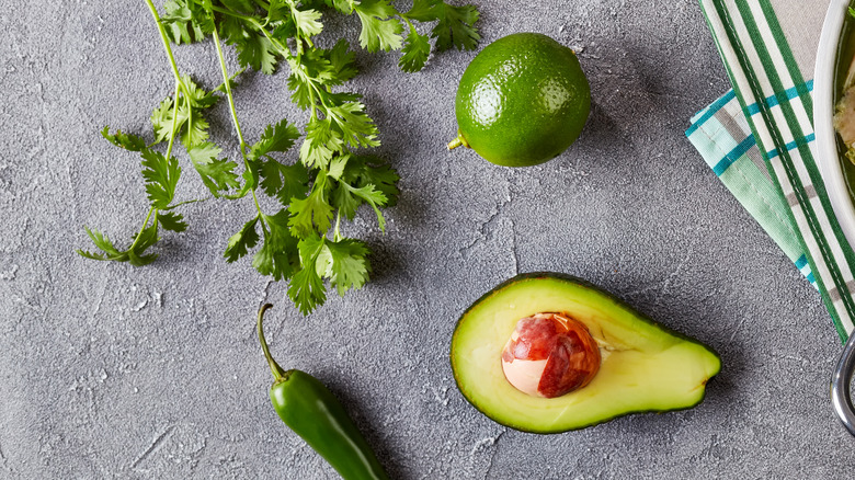 Coriandre et avocat pour la garniture