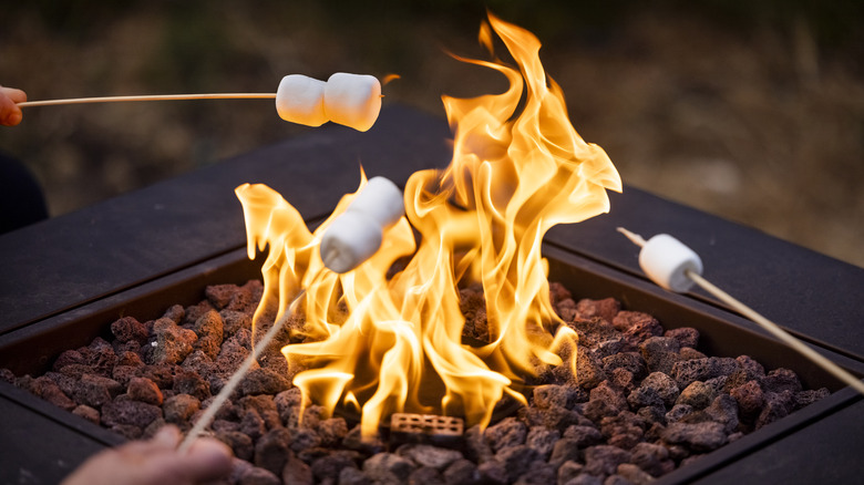 faire griller des guimauves sur un feu de camp