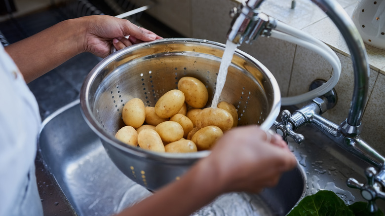 Personne qui lave des pommes de terre