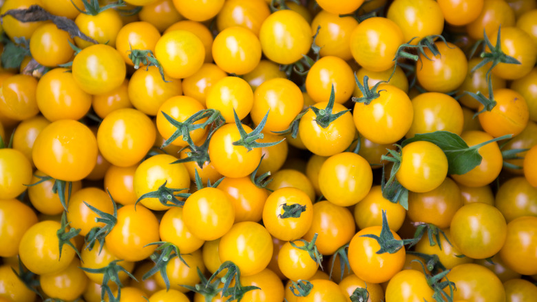 Tomates cerises jaunes