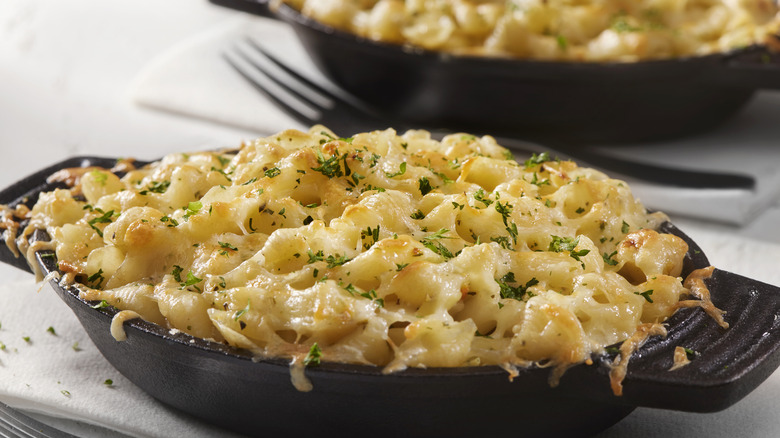 Macaroni au fromage dans un plat