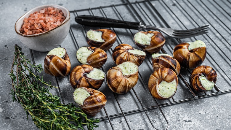 escargot sur une grille de gril