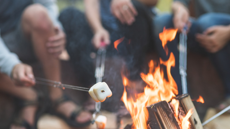 Faire griller des guimauves sur un feu de camp