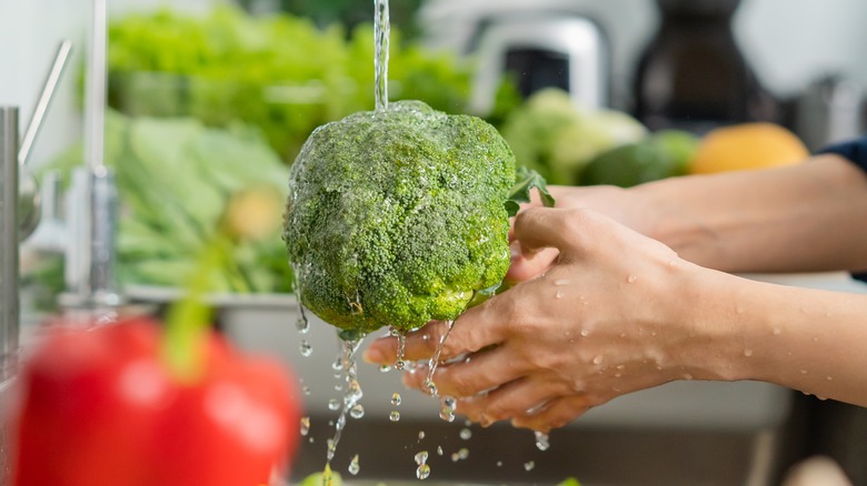 rincer les mains du brocoli sous le robinet 