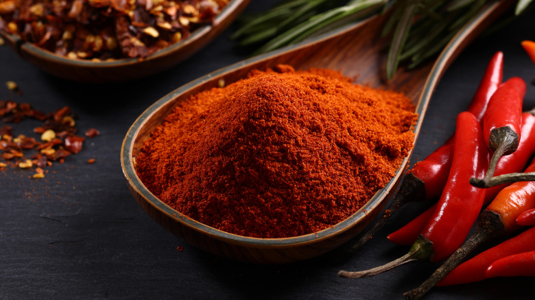 gros plan de paprika moulu sur une cuillère