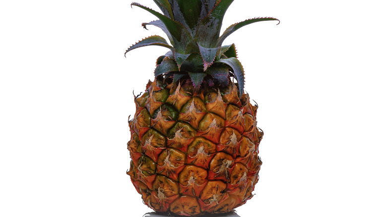 Ananas Reine Victoria