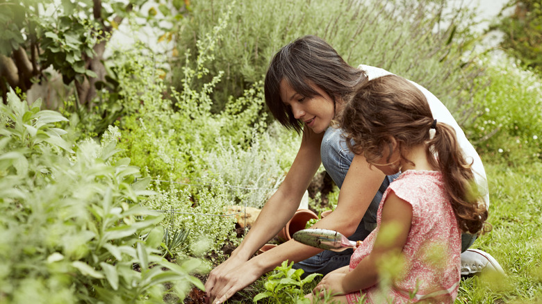 Famille dans le jardin