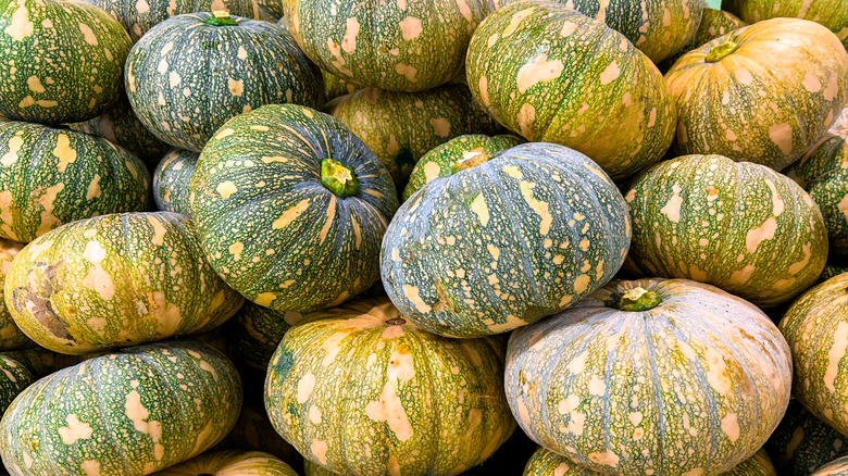 tas de citrouilles kabocha