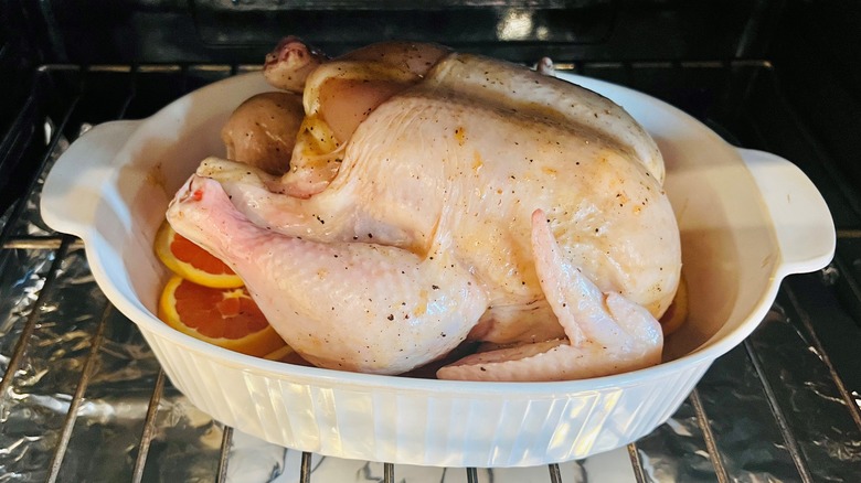 poulet dans un plat sur la grille du four