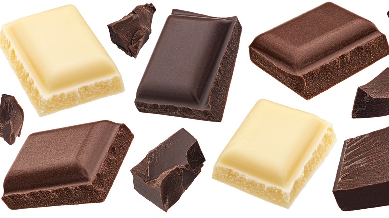 Différents types de chocolat sur fond blanc