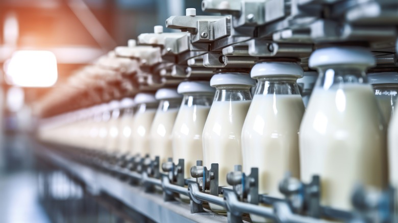 chaîne de montage de bouteilles de lait