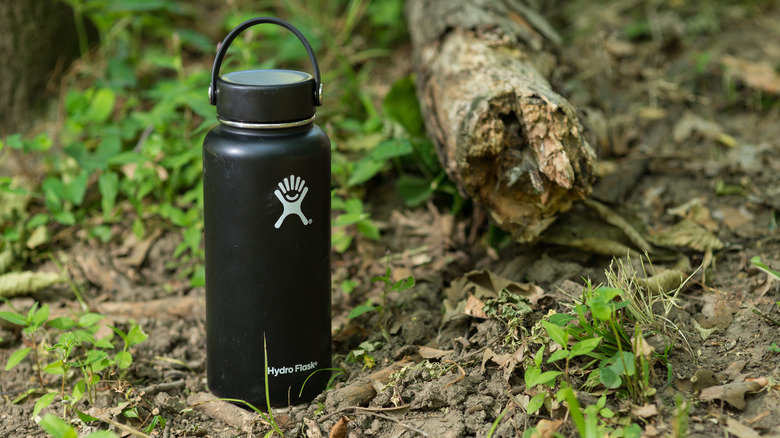 Hydro Flask sur sol forestier