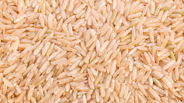 Riz brun de près